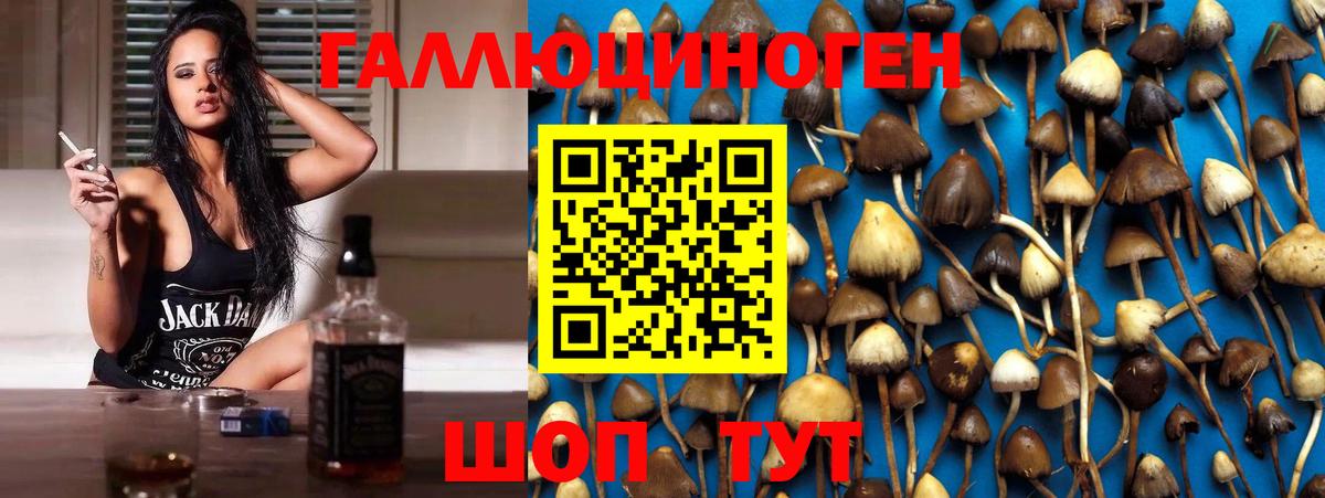 Псилоцибиновые грибы прущие грибы Ярославль