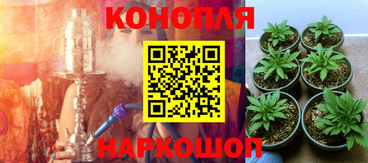 Бошки марихуана Ganja  Марихуана план  Вход с VPN  Ярославль  Конопля Ganja  Конопля Ganja 